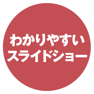 特徴３　分かりやすいパラパラ動画